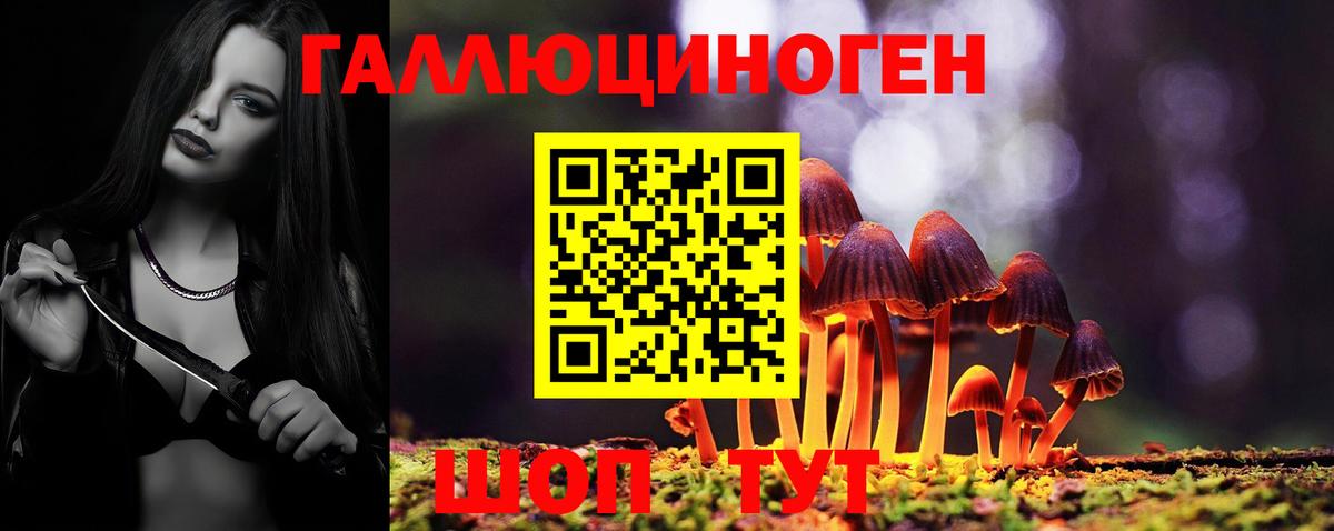 Псилоцибиновые грибы Psilocybe  Вход с VPN  Псилоцибиновые грибы MAGIC MUSHROOMS  Ростов-на-Дону 